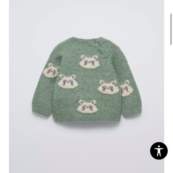 Zara Baby Racoon Knit Sweater - Picture 1 of 7